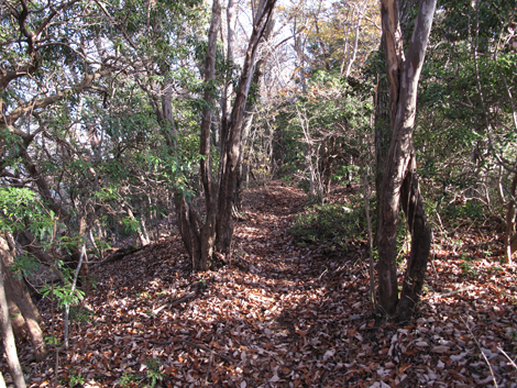 20181115hike (220)